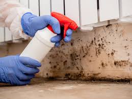 Best Forensic Mold Investigation  in Wesley Chapel, FL